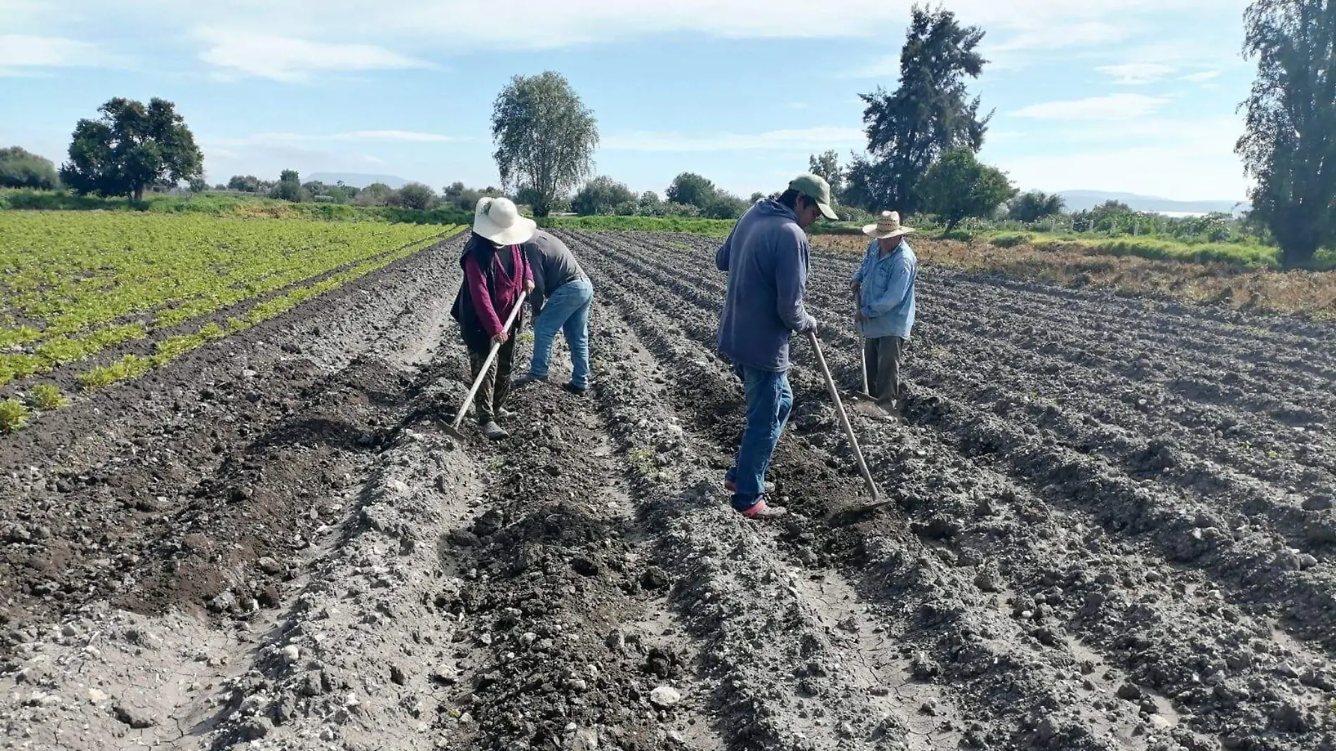 CAMPESINOS TLAXCOAPAN 3 AGOSTO CUATRO